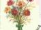 J.M.Szancer- Kwiaty
