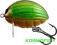 WOBLER SALMO LIL'BUG 2,5cm GREEN BUG BG2 GBG