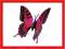 Solarny Motyl - imitacja prawdziwego motylka Solarny Motyl - imitacja prawdziwego motylka