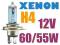 XENON - ŻARÓWKA - BIAŁE ŚWIATŁO - H4 12V 60/55W