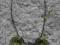 Oryginalny oliwkowy naszyjnik kolia z zamków suwak