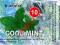 Cool Mint E-Aromat 10ml Inawera zrób wł. liquid