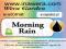 Morning Rain E-Aromat 10ml Inawera smak tytoniowy