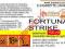 FORTUNA STRIKE  6mg/ml poj. 100ml LIQUID INAWERA