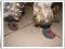 *BUTY,SKARPETKI DLA PSA polarowe,ochronne roz. 3