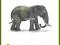 SCHLEICH Słoń afrykański, samica