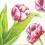 Serwetki do decoupage NR77 - 2szt. - tulipany