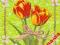 Serwetki do decoupage NR81 - 2szt. - tulipany