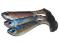 RIPPER BERKLEY PULSE SHAD PEARL BLUE 6 CM