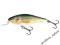 Wobler SALMO EXECUTOR 12SR    Real Roach 12cm/33gr