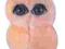 GIANTmicrobes  - pluszowe zapalenie płuc