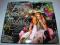 LITA FORD: WICKED WONDERLAND