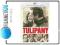 TULIPANY DVD
