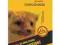 VIGONEZ PASTA DO ZWALCZANIA MYSZY KUNY 75G W-WA