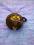 SERWO + POMPA HAMULCOWA SEAT TOLEDO I 1.9 TDI 98R