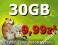 Transfer chomikuj 30 GB AUTOMAT 30 DNI WAŻNOŚCI