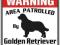 TABLICZKA UWAGA PIES - Golden Retriever - WARNING