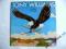 Tony Williams - The Joy Of Flying (CBS HOL) EX+