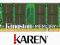 Pamięć RAM KTL-TP3C/4G od Karen