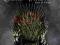 NOWA GRA Game of Thrones RPG X360 XBOX 360