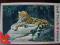 Puzzle Trefl 1000 Jaguar