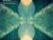 BONOBO The North Borders CD / rarytas!