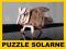 Nowość - Drewniane Puzzle Solarne 3D - Ruchome (S)