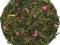 HERBATA zielona delicja Sencha - Catuaba  - 50g