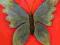 motyl metalowy niebieski 20 cm,