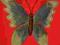 motyl metalowy niebieski 20 cm,