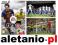 NOWA ZAFOLIOWANA GRA PC FIFA 13 WERSJA PL DVD-ROM