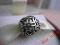 PANDORA ORYGINALNY CHARMS SREBRNE KWIATKI 790890