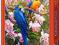 ! Puzzle 1500 Castorland C-150861 Parrots and Orch