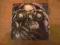 ... JETHRO TULL...STORMWATCH...