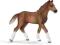 SCHLEICH Źrebię rasy Hanover new 2013 [PROMOCJA]