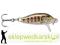 Wobler Rapala CountDown 3cm-S/4g, Kolor: GJTR