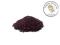 Nasienie Babki Płesznika - 200g Płesznik nasiona