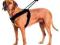 Patento Pet szelki sport L czarne + dostawa GRATIS