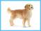 Schleich Golden retriever, pies