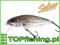 Wobler Salmo Perch HGS 8cm/12g Pływający PH8FHGS