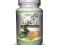 MYVITA ZIELONA KAWA EXTRACT 1000mg 60ka SKUTECZNIE