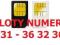 731 - 36 32 36 ZLOTY NUMER PLAY - FORMULA MINI MAX