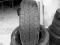 opona BRIDGESTONE  16 C 215   60