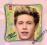 PODUSZKA ONE DIRECTION NIALL HORAN SUPER WZÓR