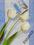 TOREBKA PAPIEROWA PREZENTOWA tulipany   001