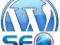 Optymalizacja SEO dla WordPress