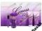 ZESTAW GUESS GIRL EDT  ORYGINALNA