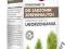 UKORZENIACZ DO SADZONEK ZDREWNIAŁYCH 30 ml