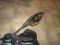 UCHWYT BMW R1200 GS 2005-2007 ROK PRAWY LUSTERKA