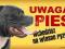 STAFIK UWAGA PIES TABLICZKA NA DRZWI
